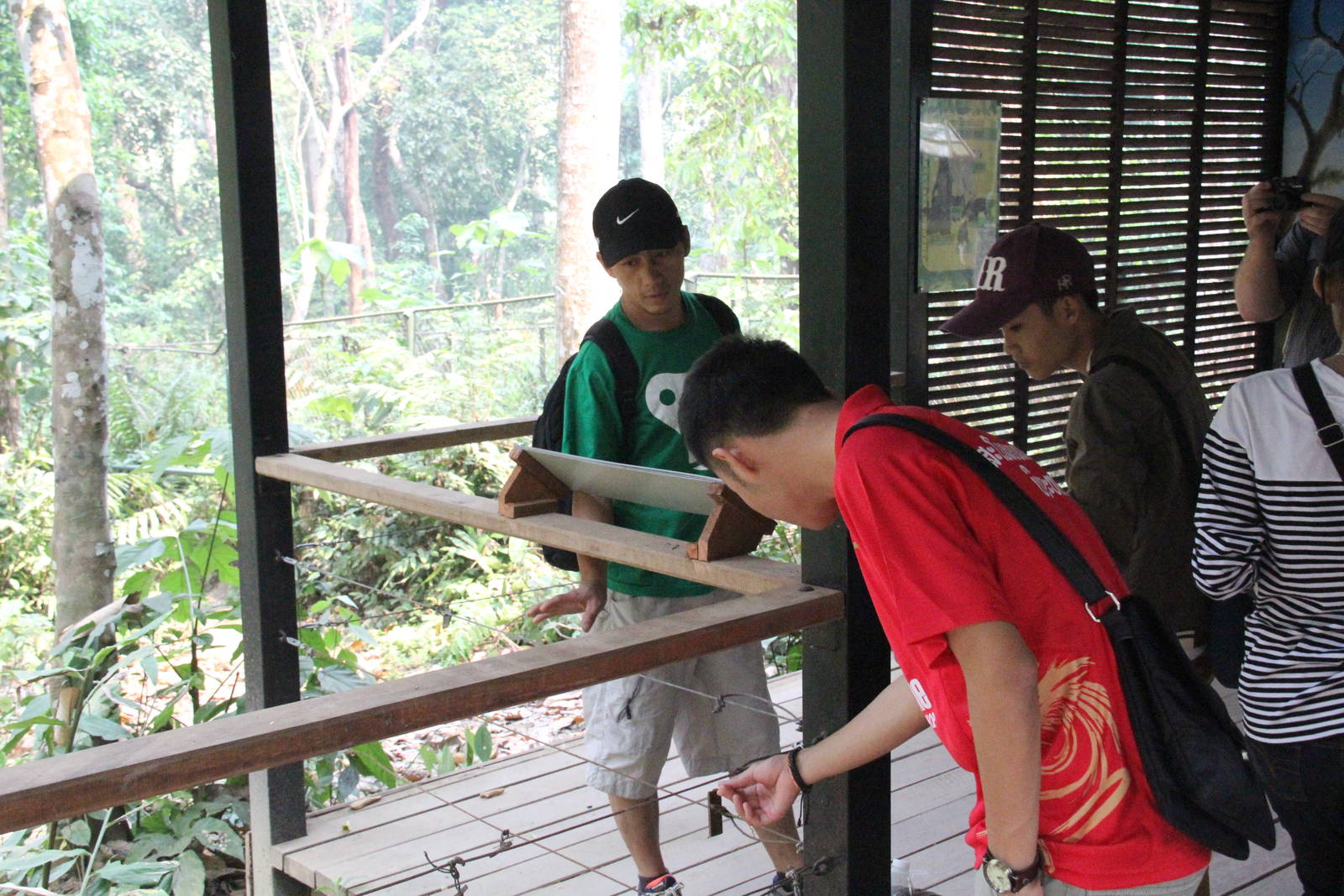 Free the Bears Tat Kuang Si Bear Rescue Centre