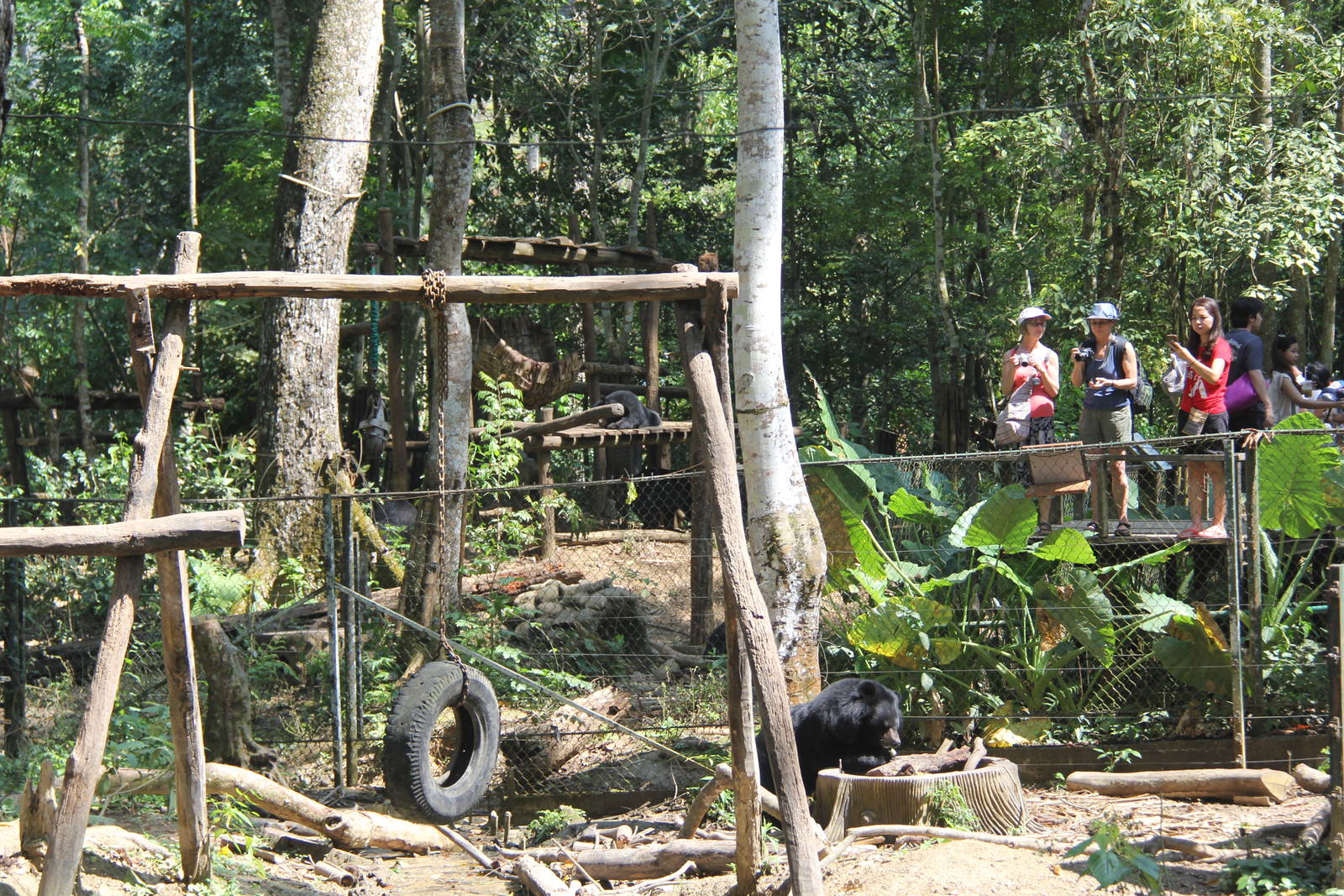 Free the Bears Tat Kuang Si Bear Rescue Centre
