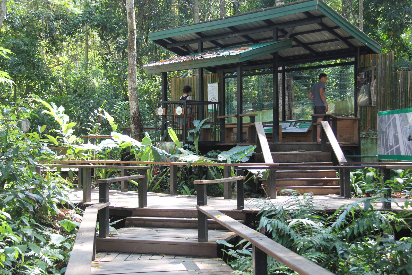 Free the Bears Tat Kuang Si Bear Rescue Centre