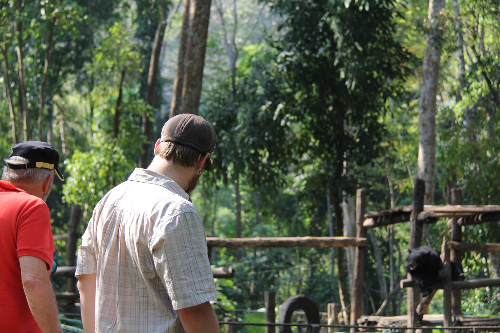 Free the Bears Tat Kuang Si Bear Rescue Centre