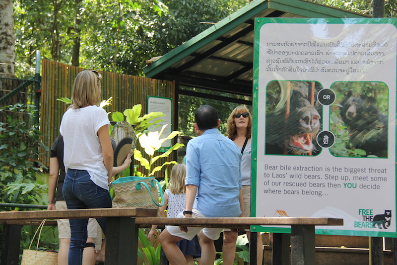 Free the Bears Tat Kuang Si Bear Rescue Centre