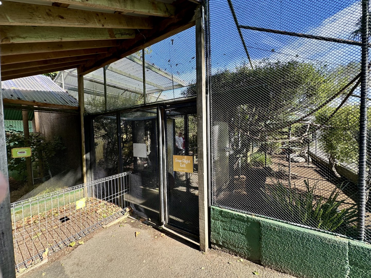 Freeflight Aviary (Exit)