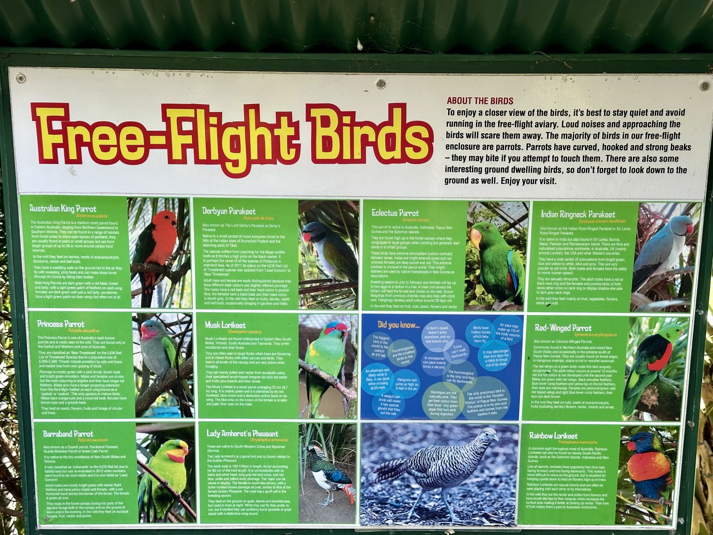 Freeflight Aviary - Species List