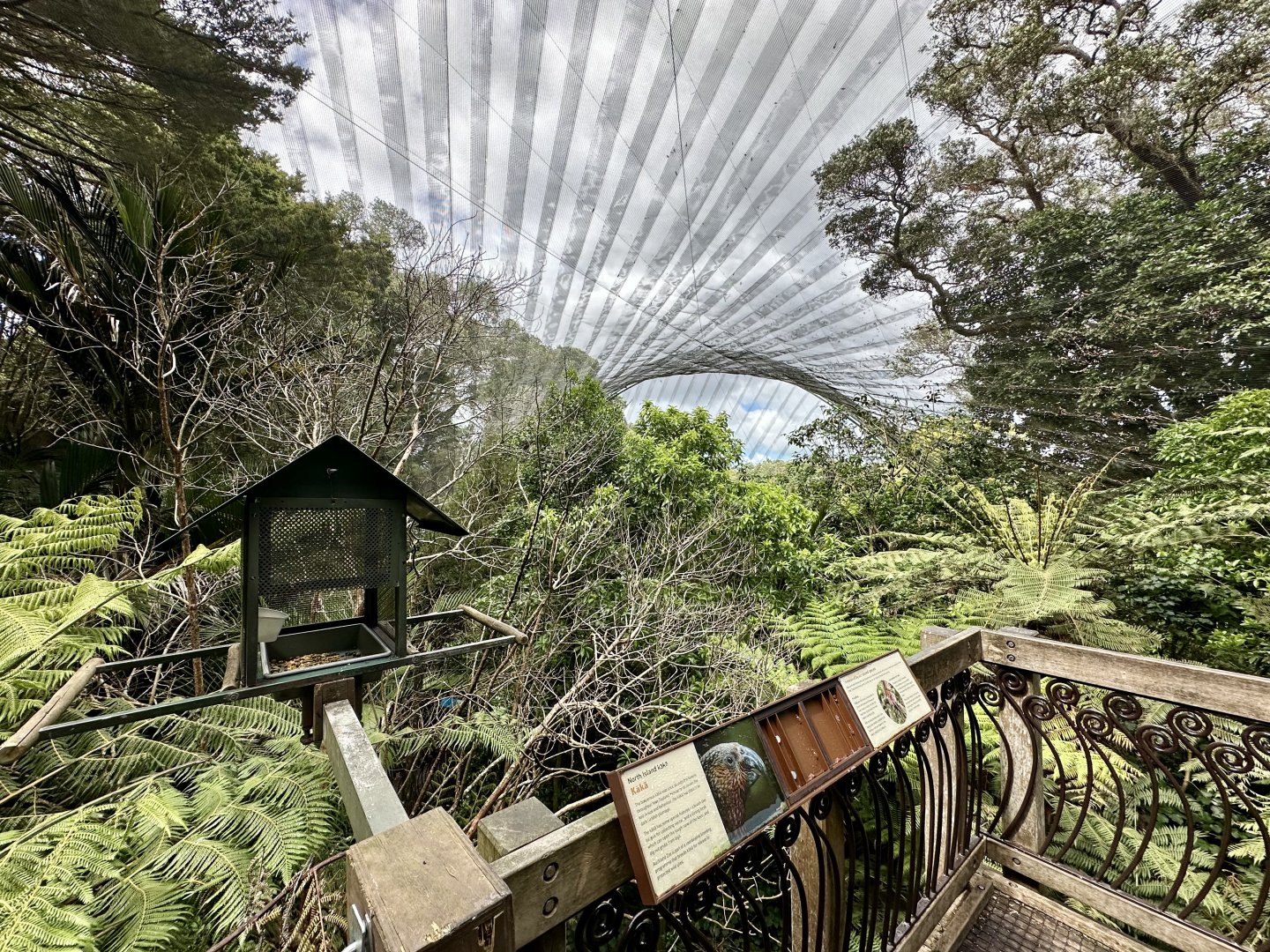 Freeflight Aviary (The Forest)