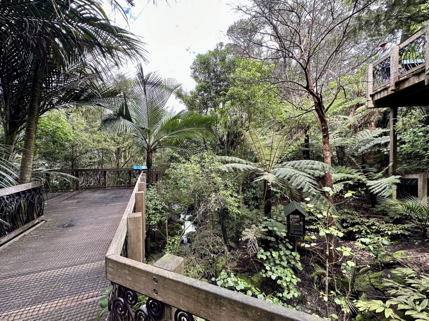 Freeflight Aviary (The Forest)