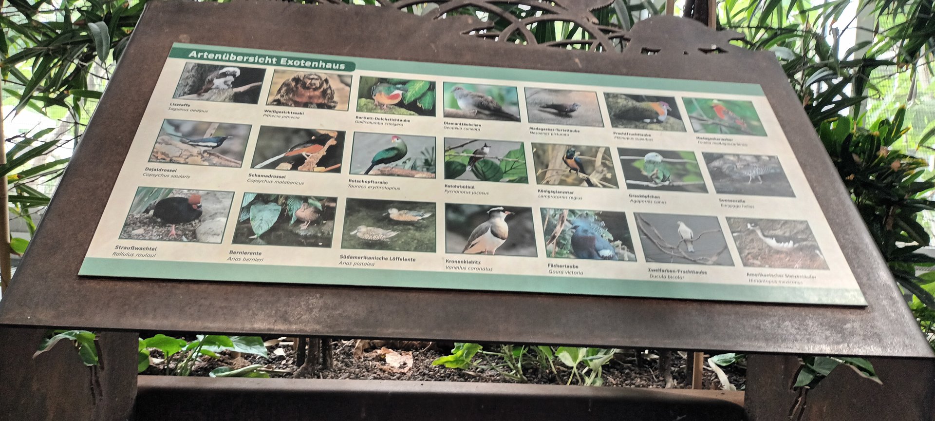 Freeflight Hall Species List and Signage