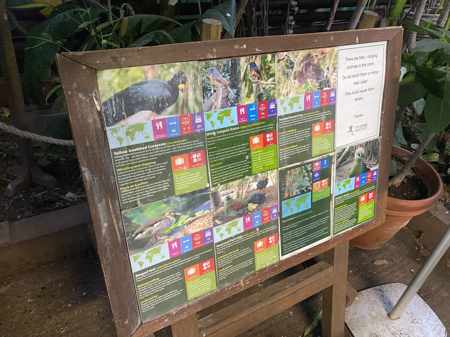 Freeroaming inhabitants 050924