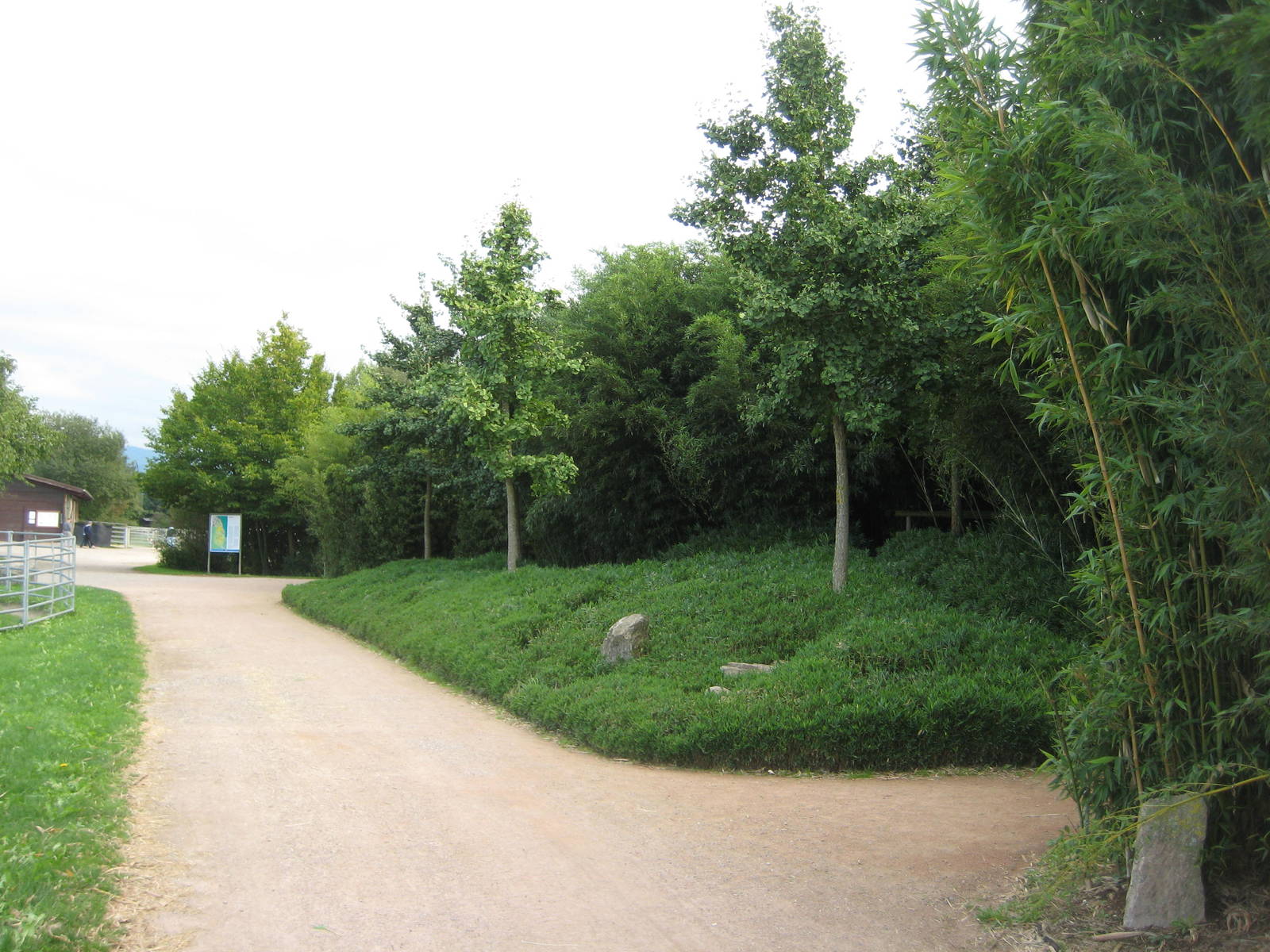 Freiburg Mundenhof Bamboo Wood