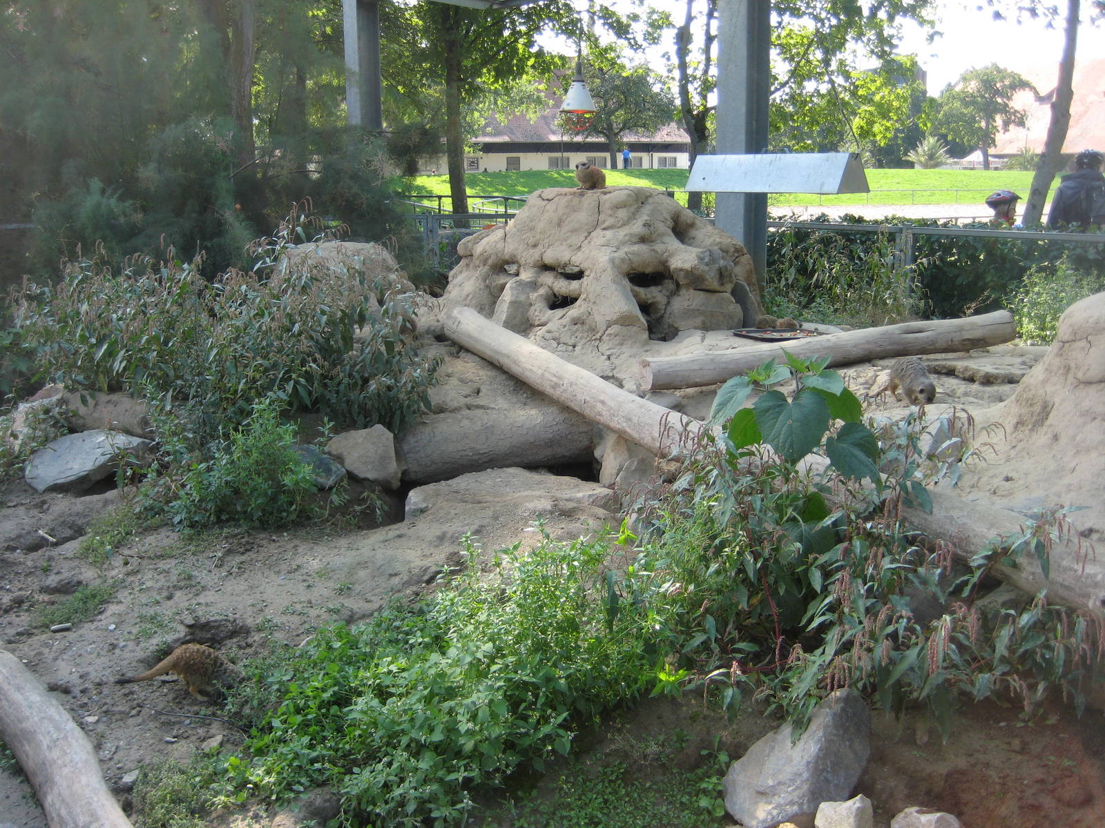Freiburg Mundenhof Merkat exhibit