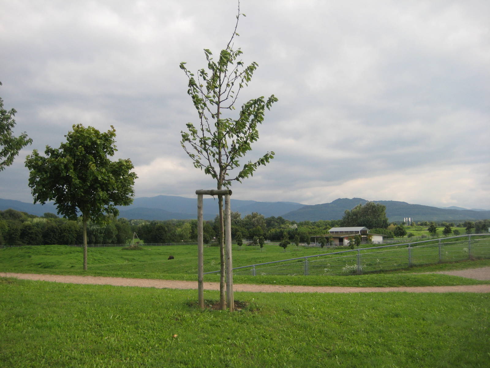Freiburg Mundenhof Overview of the Bison Exhibit