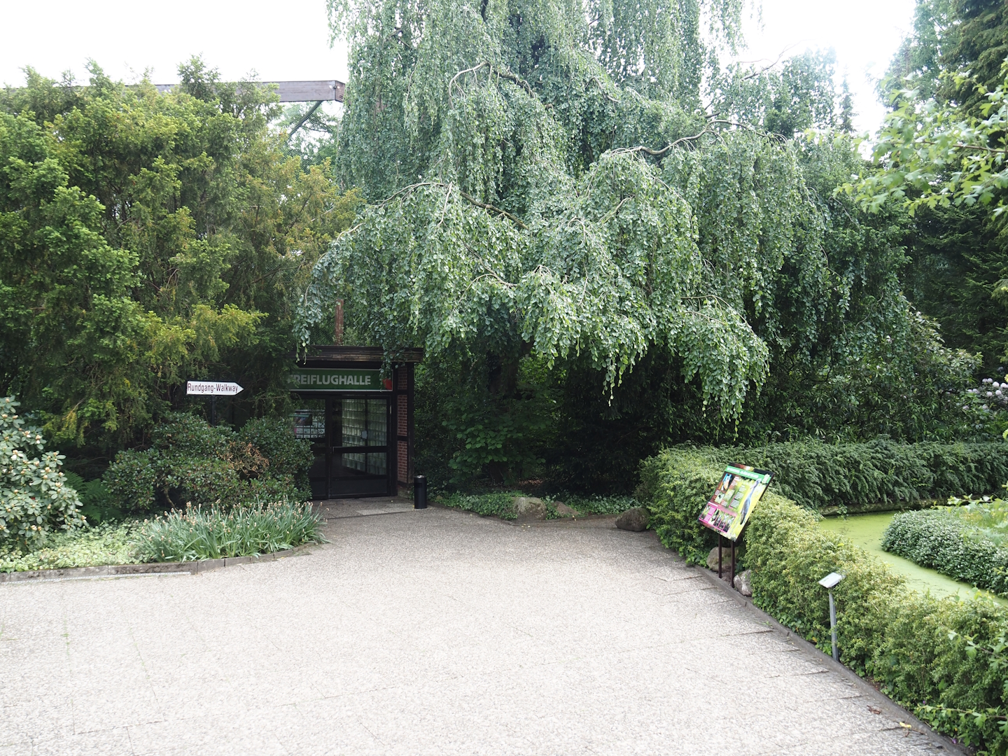 Freiflughalle - First section, South American wetland walk-through, 2024-05-21