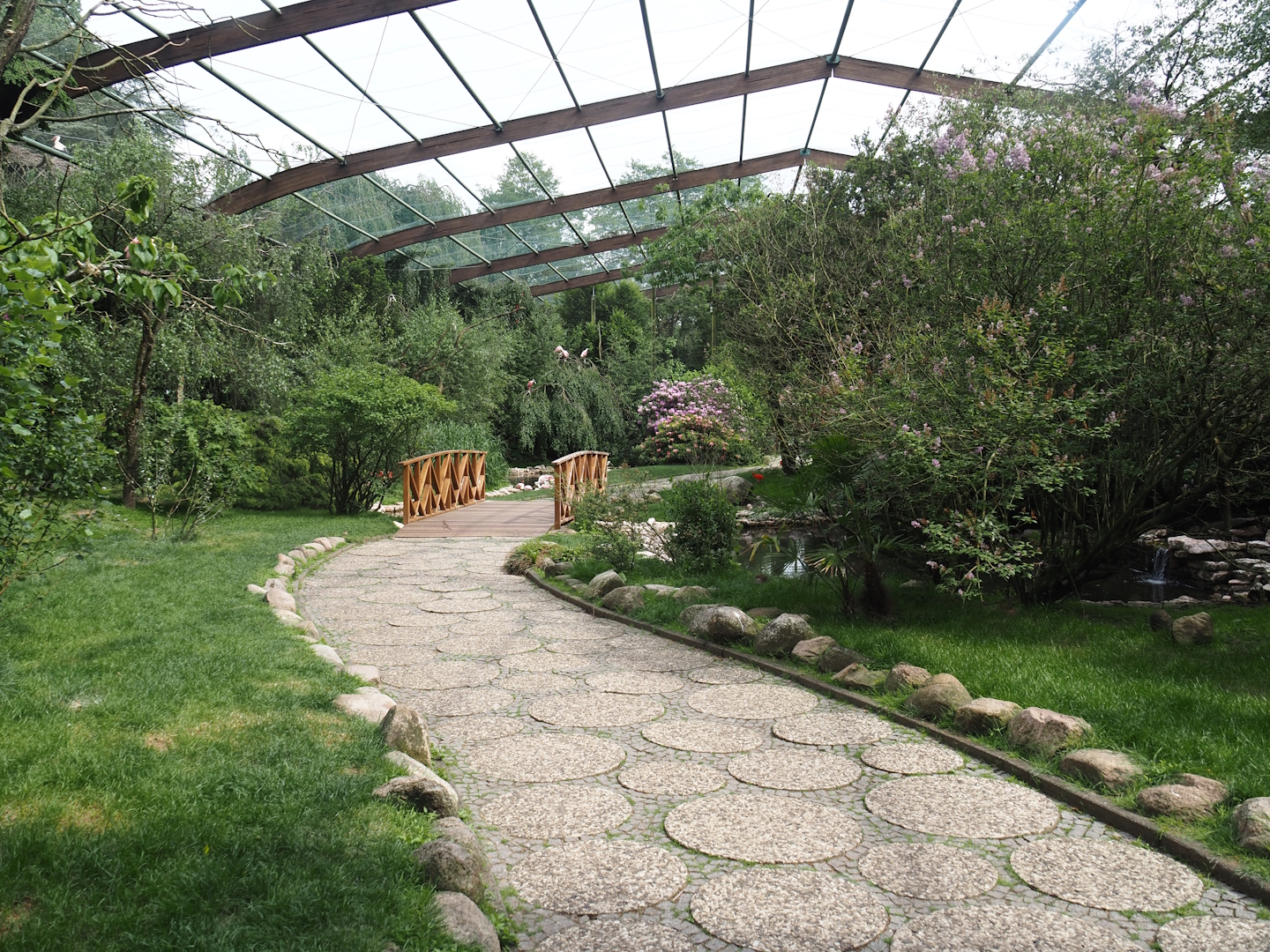 Freiflughalle - First section, South American wetland walk-through, 2024-05-21