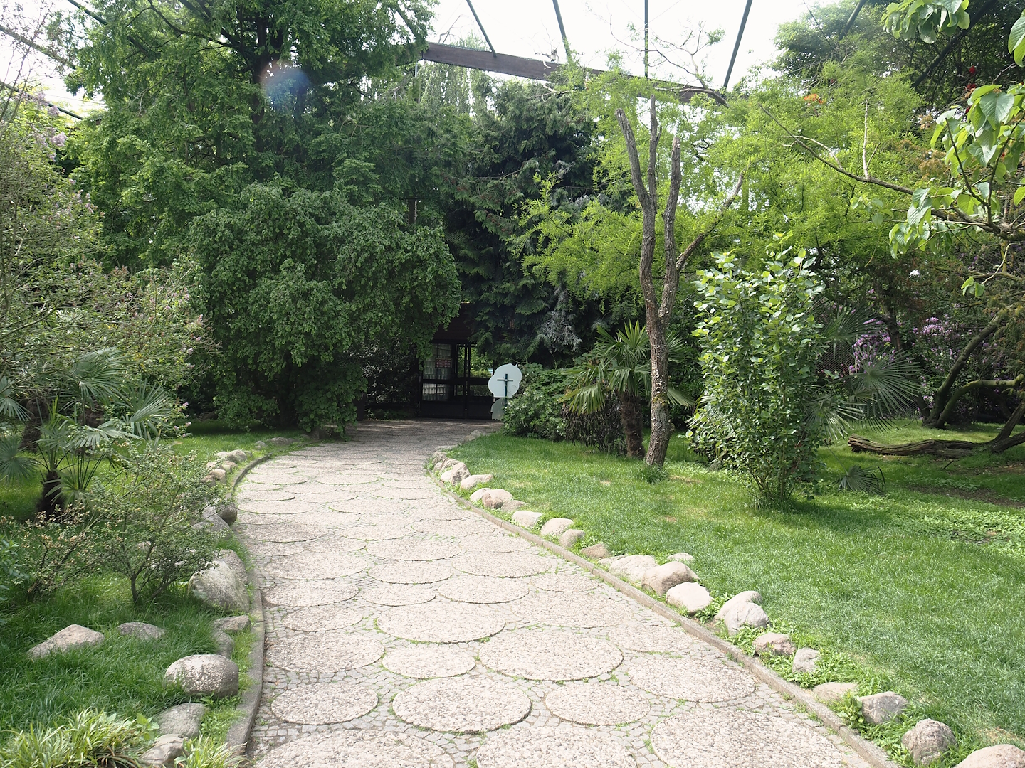 Freiflughalle - First section, South American wetland walk-through, 2024-05-21