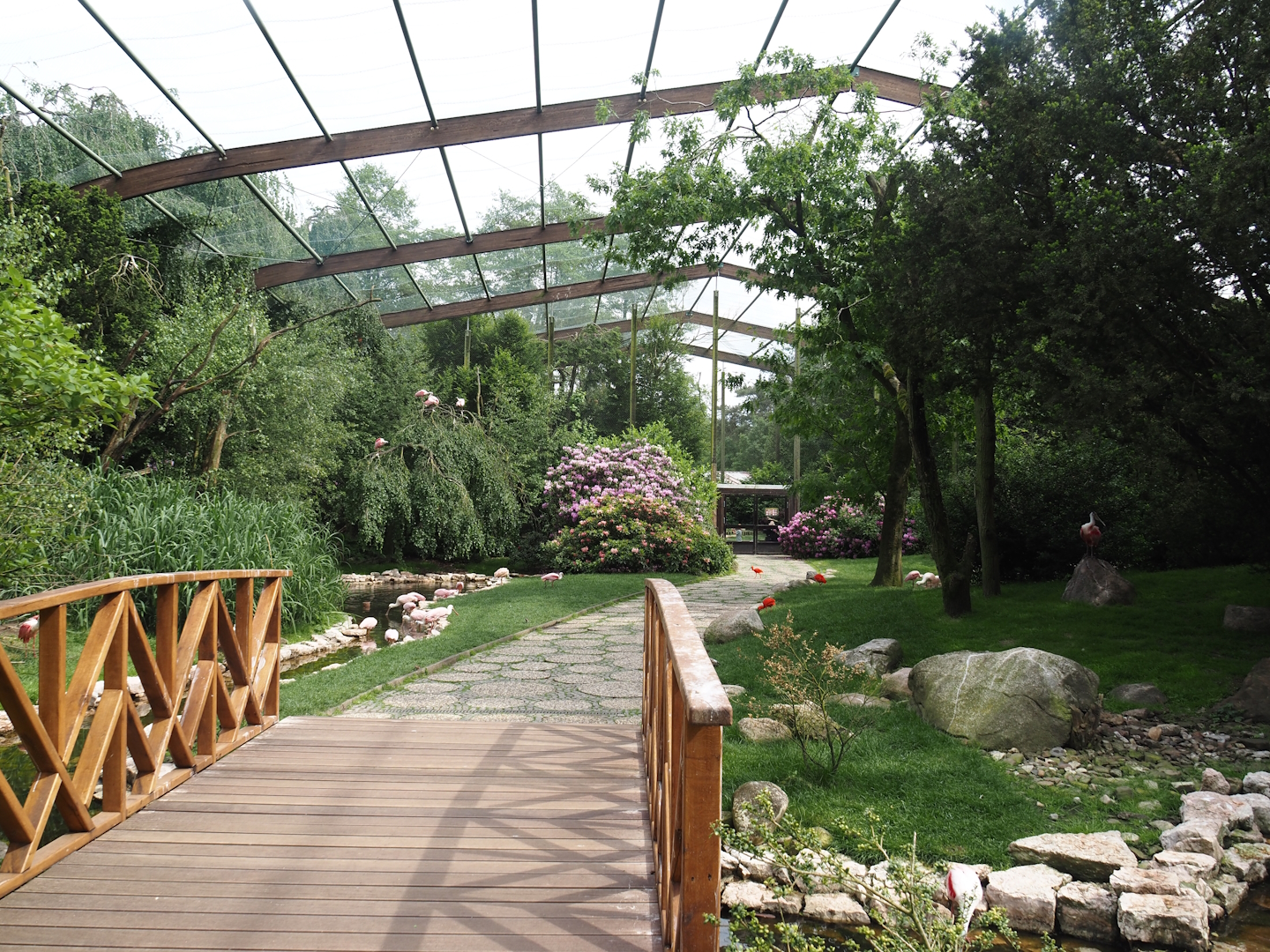 Freiflughalle - First section, South American wetland walk-through, 2024-05-21