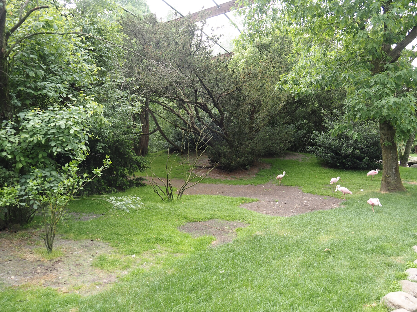 Freiflughalle - First section, South American wetland walk-through, 2024-05-21