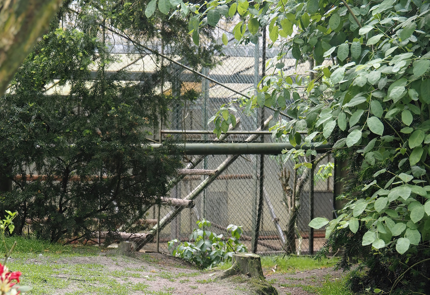Freiflughalle - Off-show aviary and bird holding greenhouse, 2024-05-21