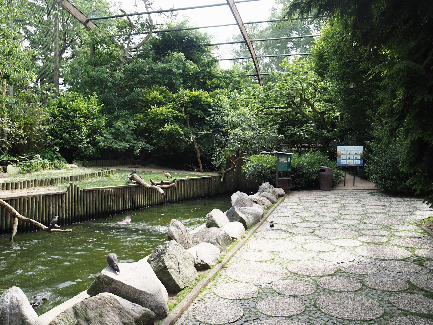 Freiflughalle - Section section, Brandungsanlage, coastal aviary with wave machine in pool, 2024-05-21