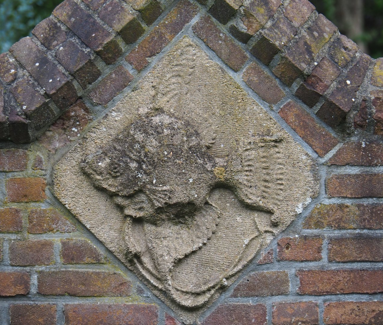 Freshwater angelfish artwork in outer wall of zoo, 2023-08-17