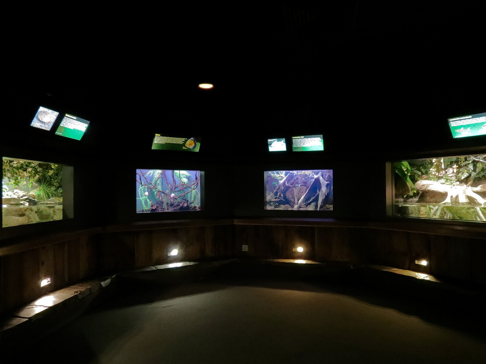 Freshwater Aquarium - Alcove 1