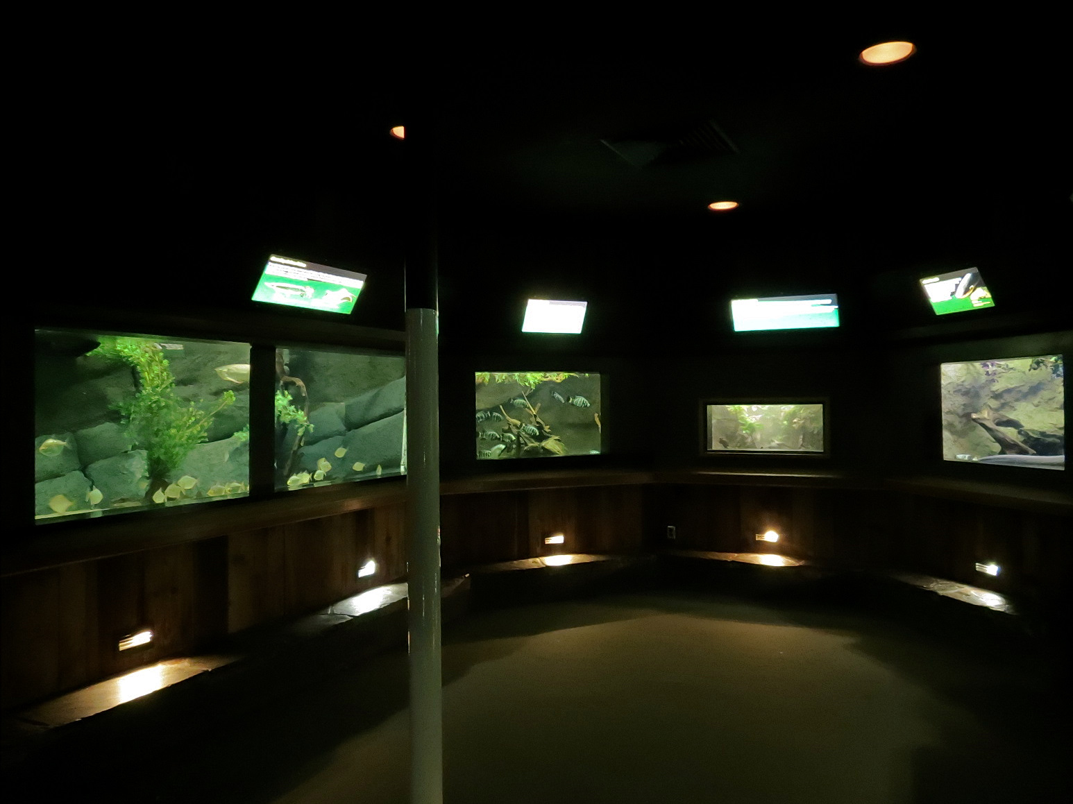 Freshwater Aquarium - Alcove 3