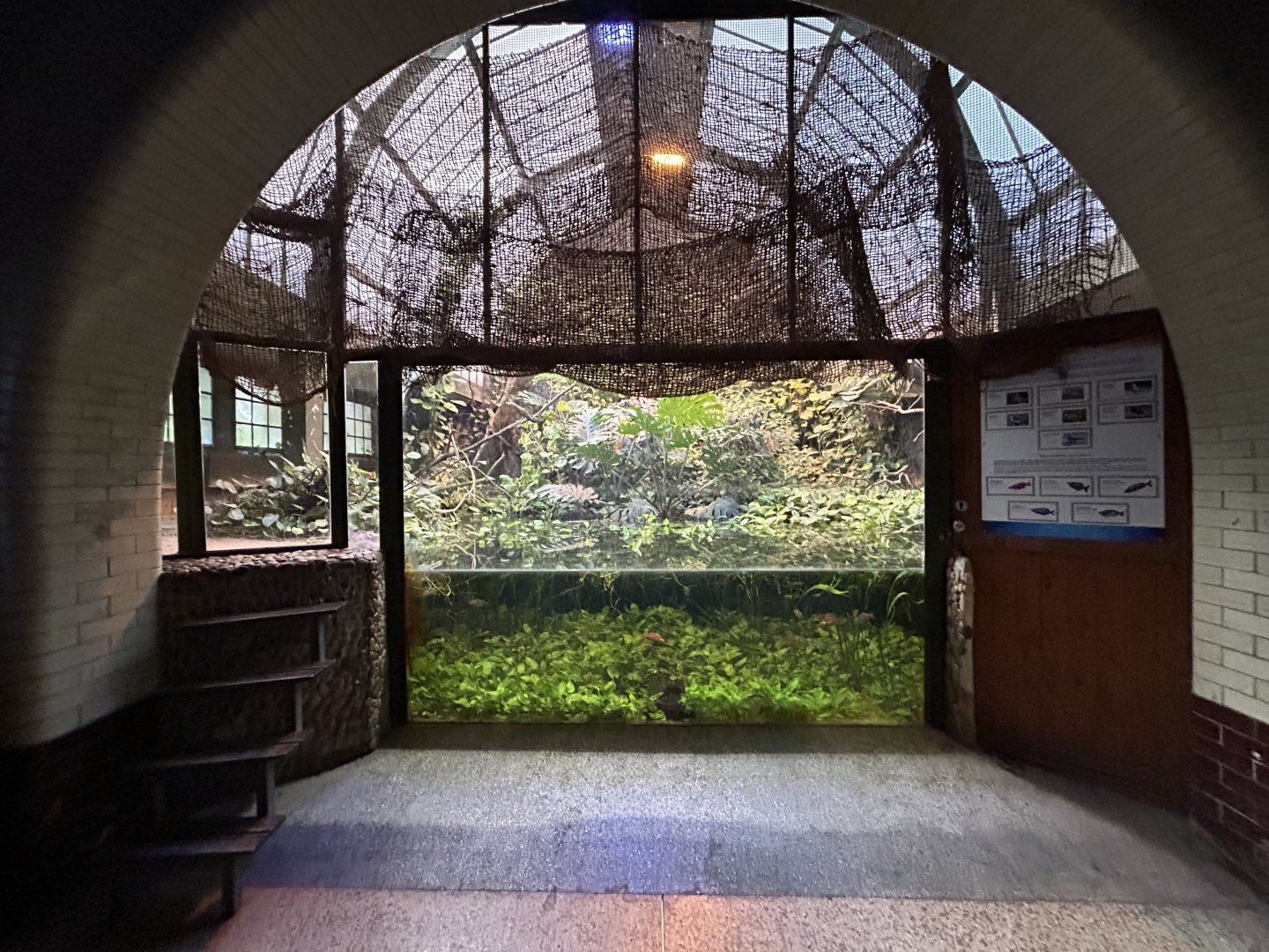 Freshwater Aquarium - Australia House