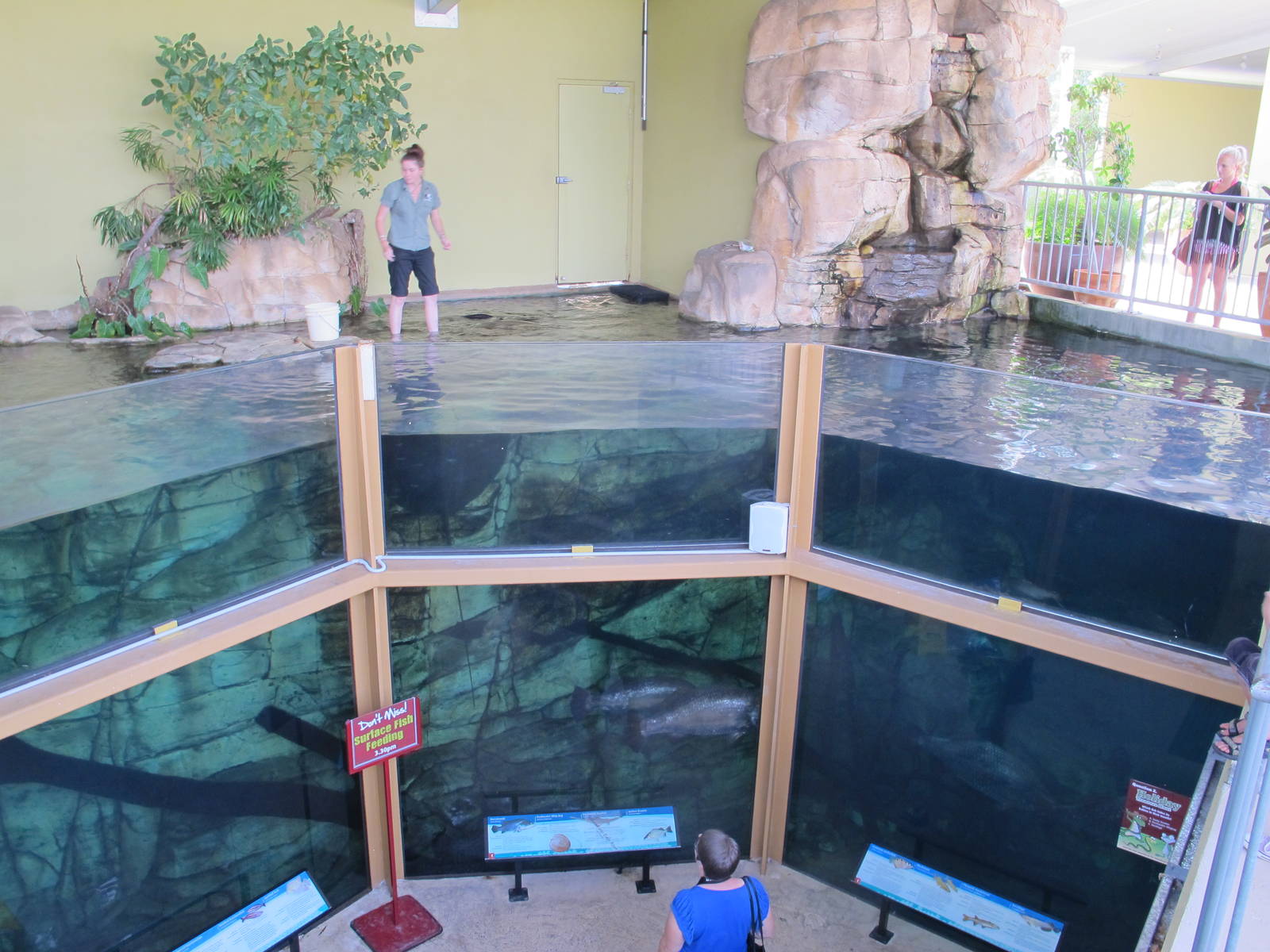 Freshwater Aquarium - Crocosaurus Cove