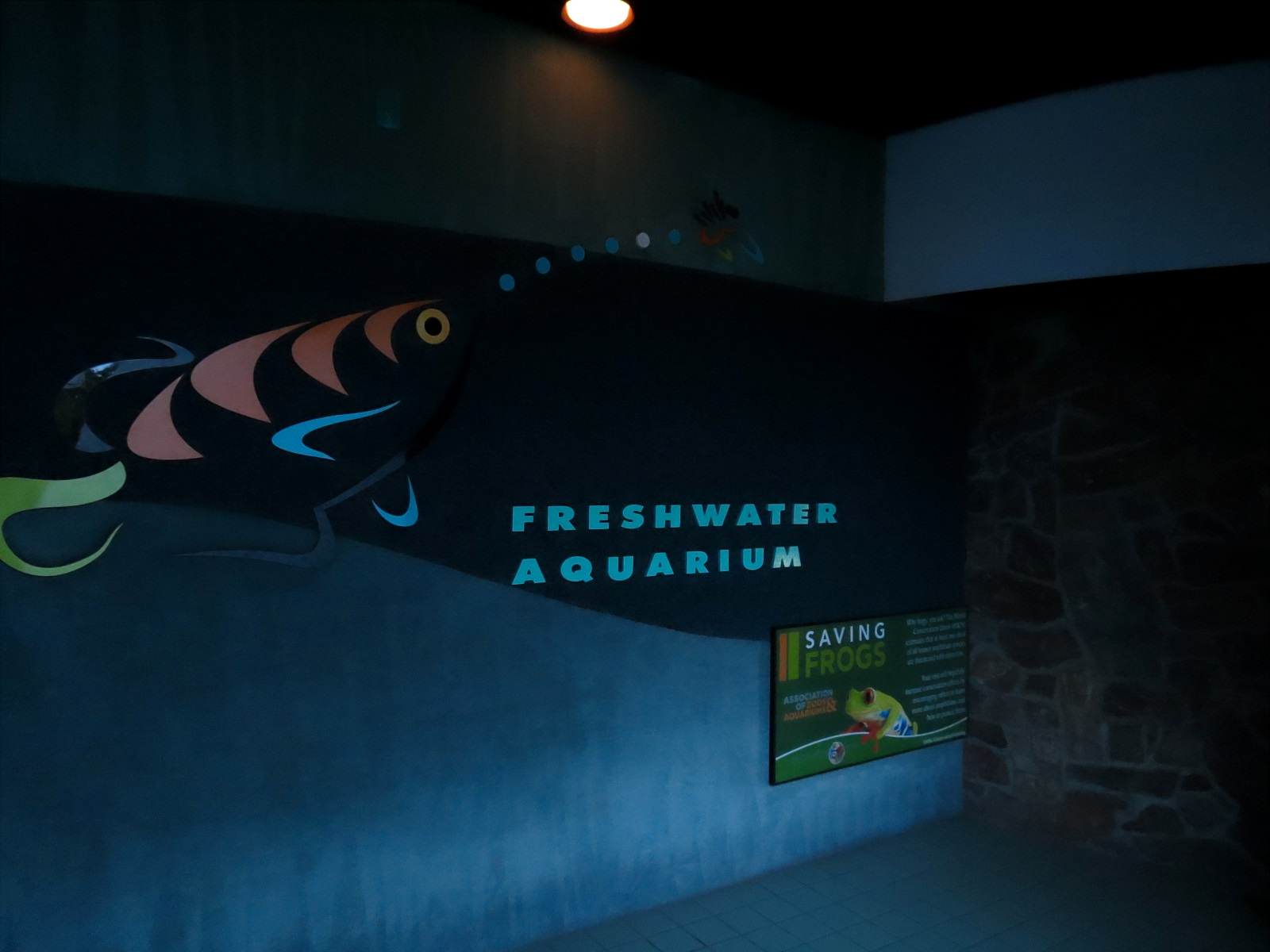 Freshwater Aquarium - Entrance Interior