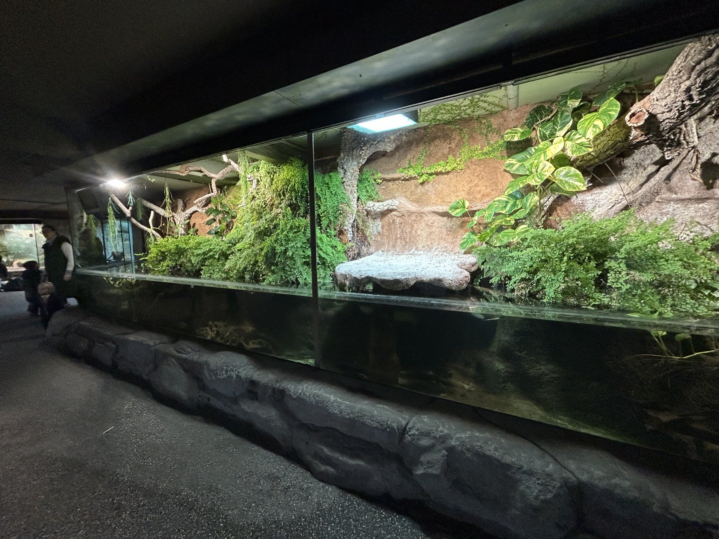 Freshwater Aquarium - Jungle House