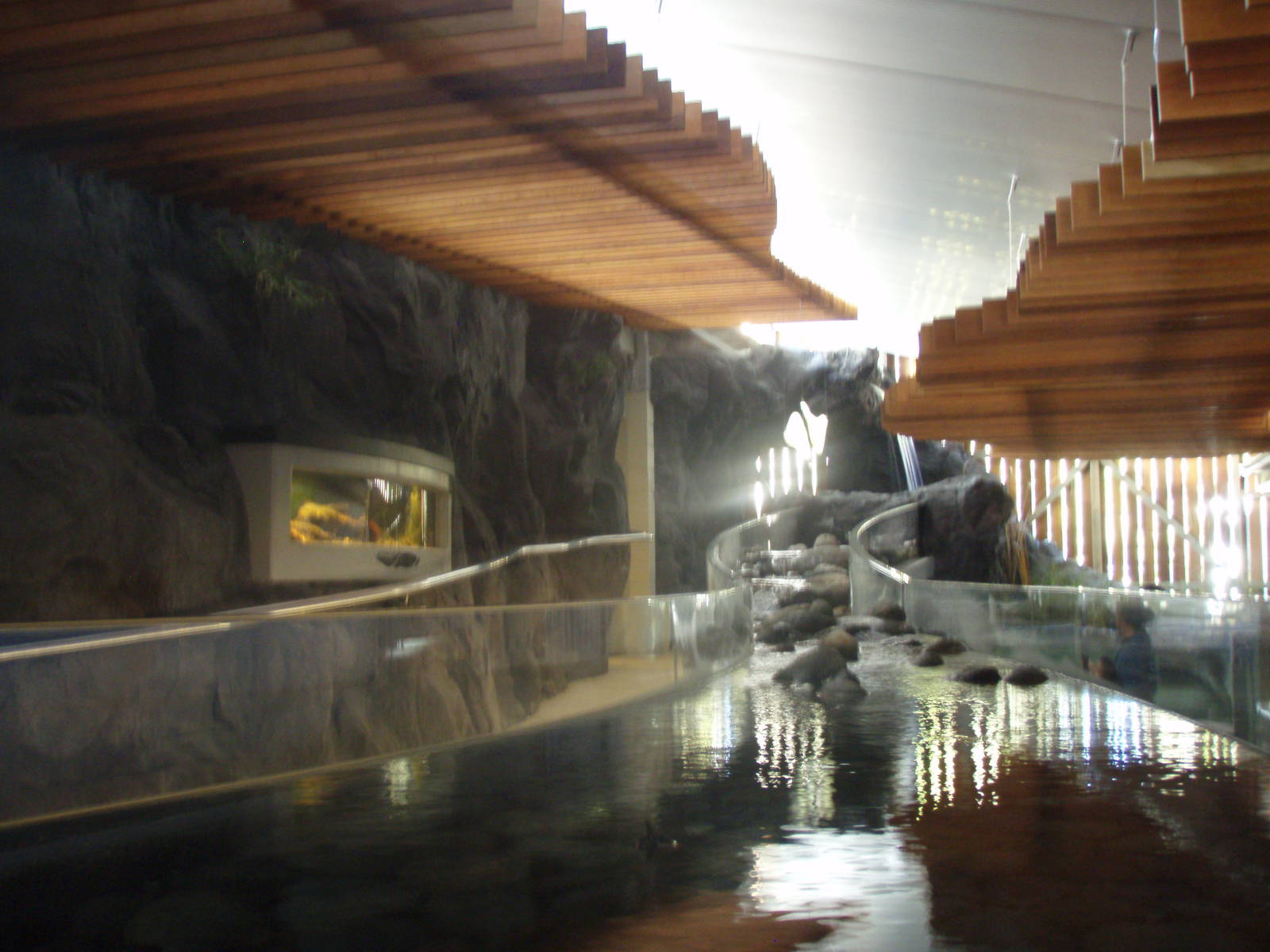 Freshwater Aquarium Overview - Tongariro National Trout Centre