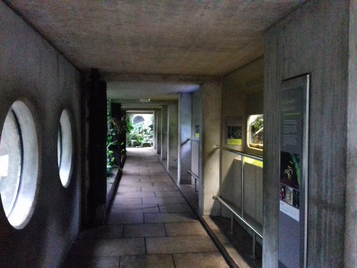 Freshwater Aquarium - Princess of Wales Conservatory