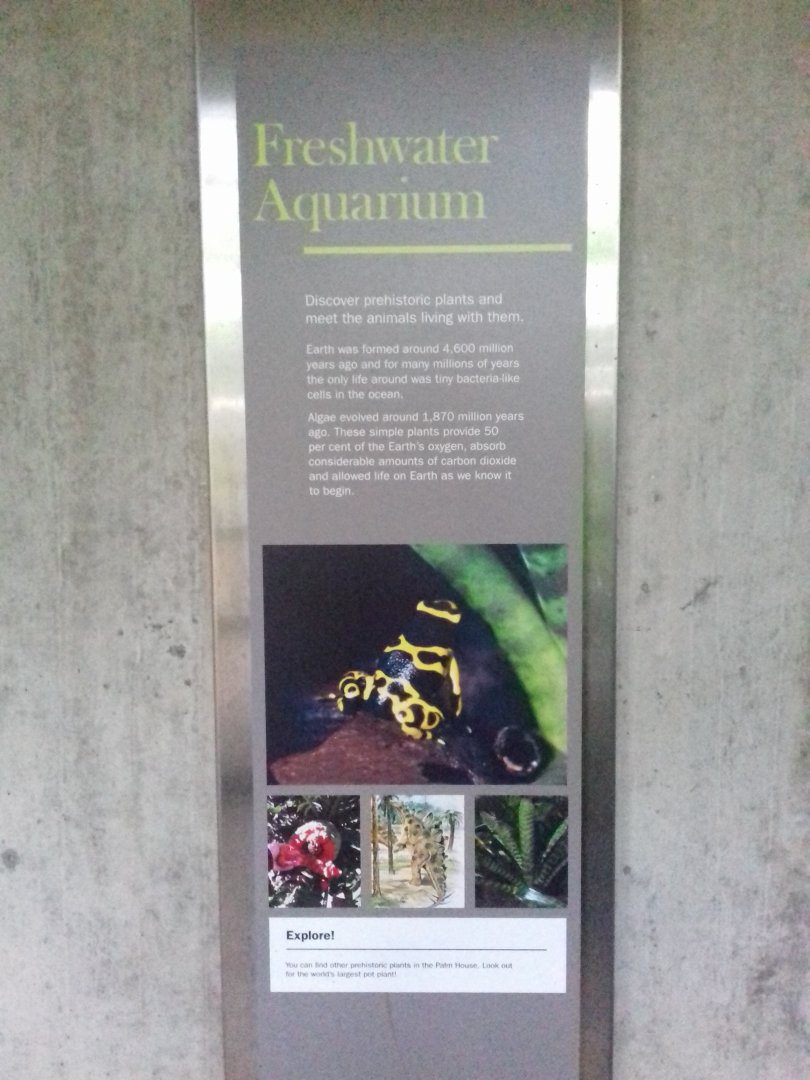 Freshwater Aquarium - Princess of Wales Conservatory
