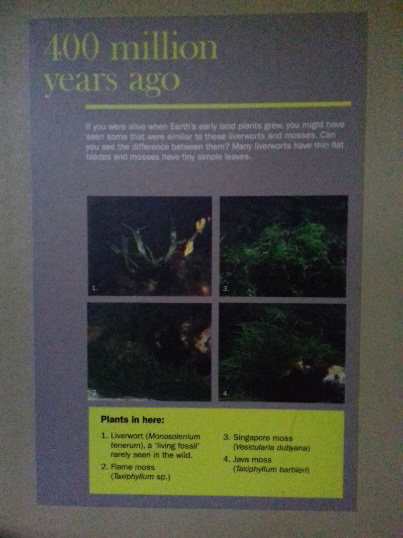 Freshwater Aquarium - Princess of Wales Conservatory