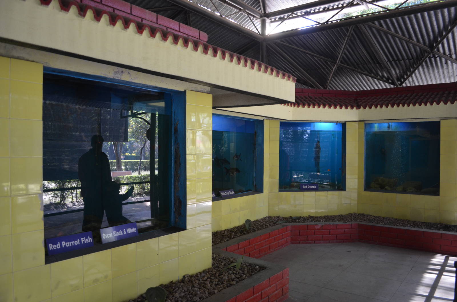 Freshwater Aquariums