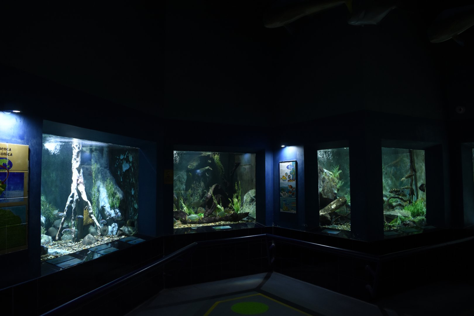Freshwater aquariums