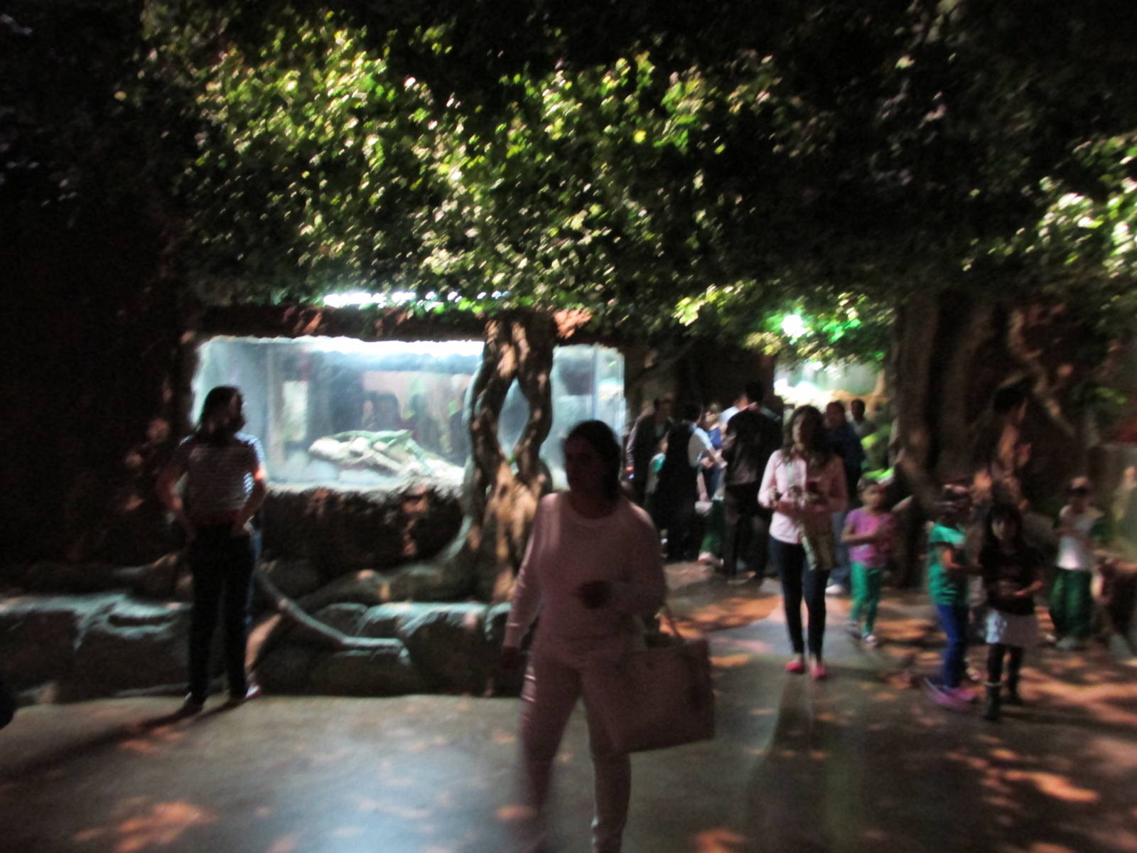 freshwater  area acuario inbura