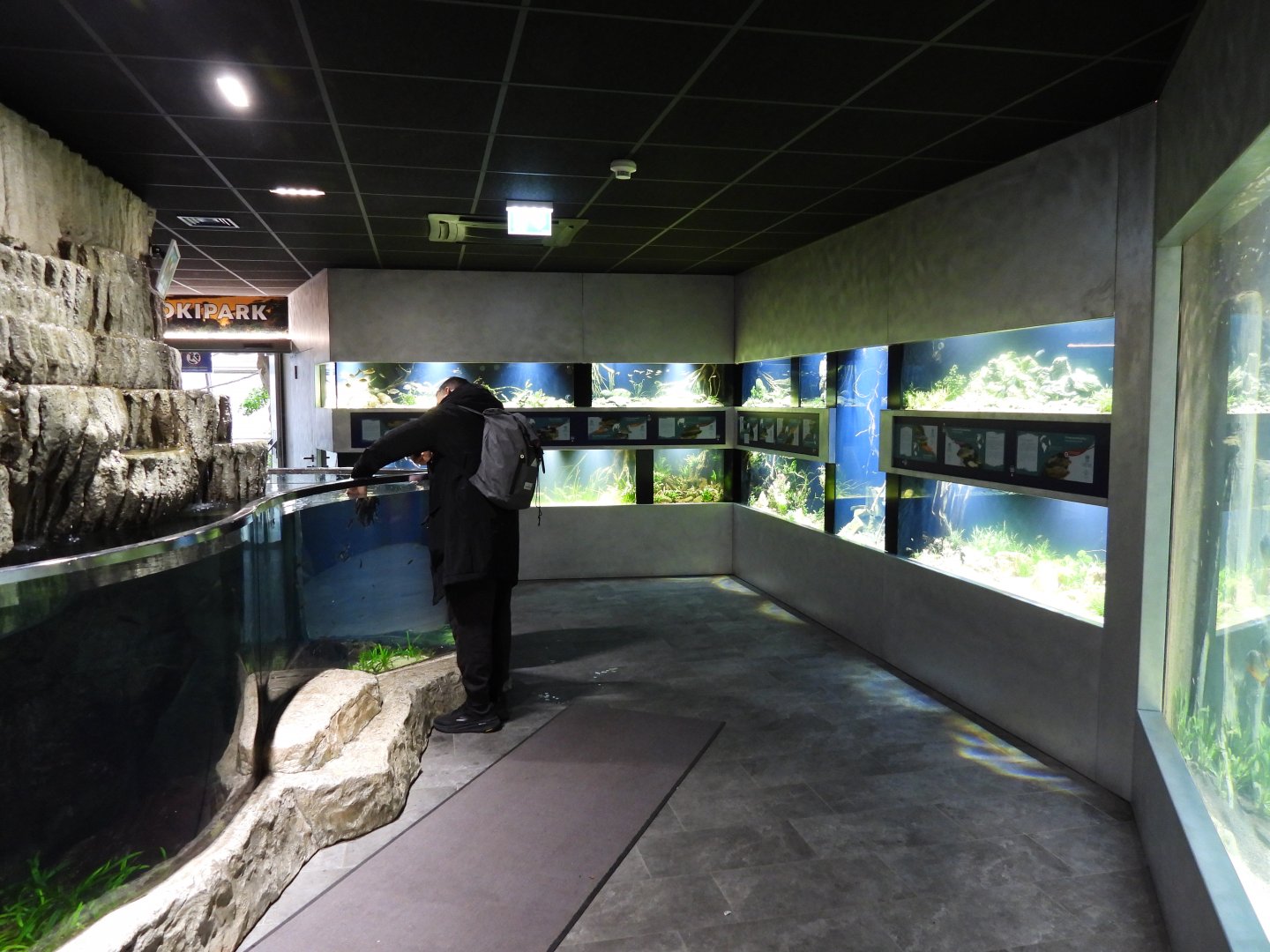 Freshwater area overall overview