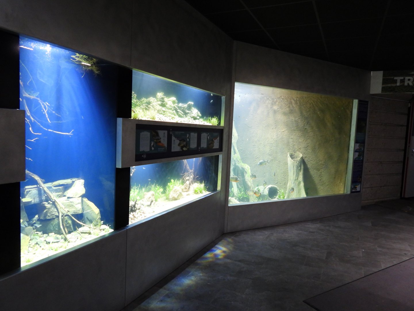 Freshwater area - Part 2