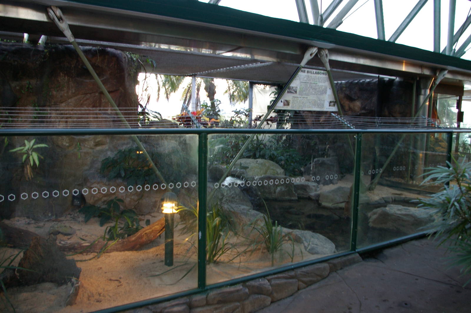 'freshwater billabong' enclosure, Cairns Wildlife Dome
