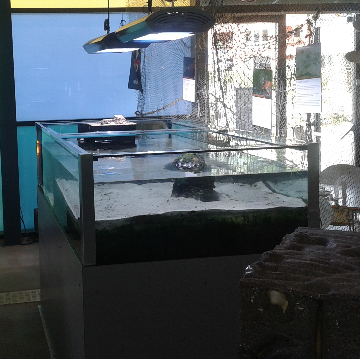 Freshwater - brackish - saltwater aquarium