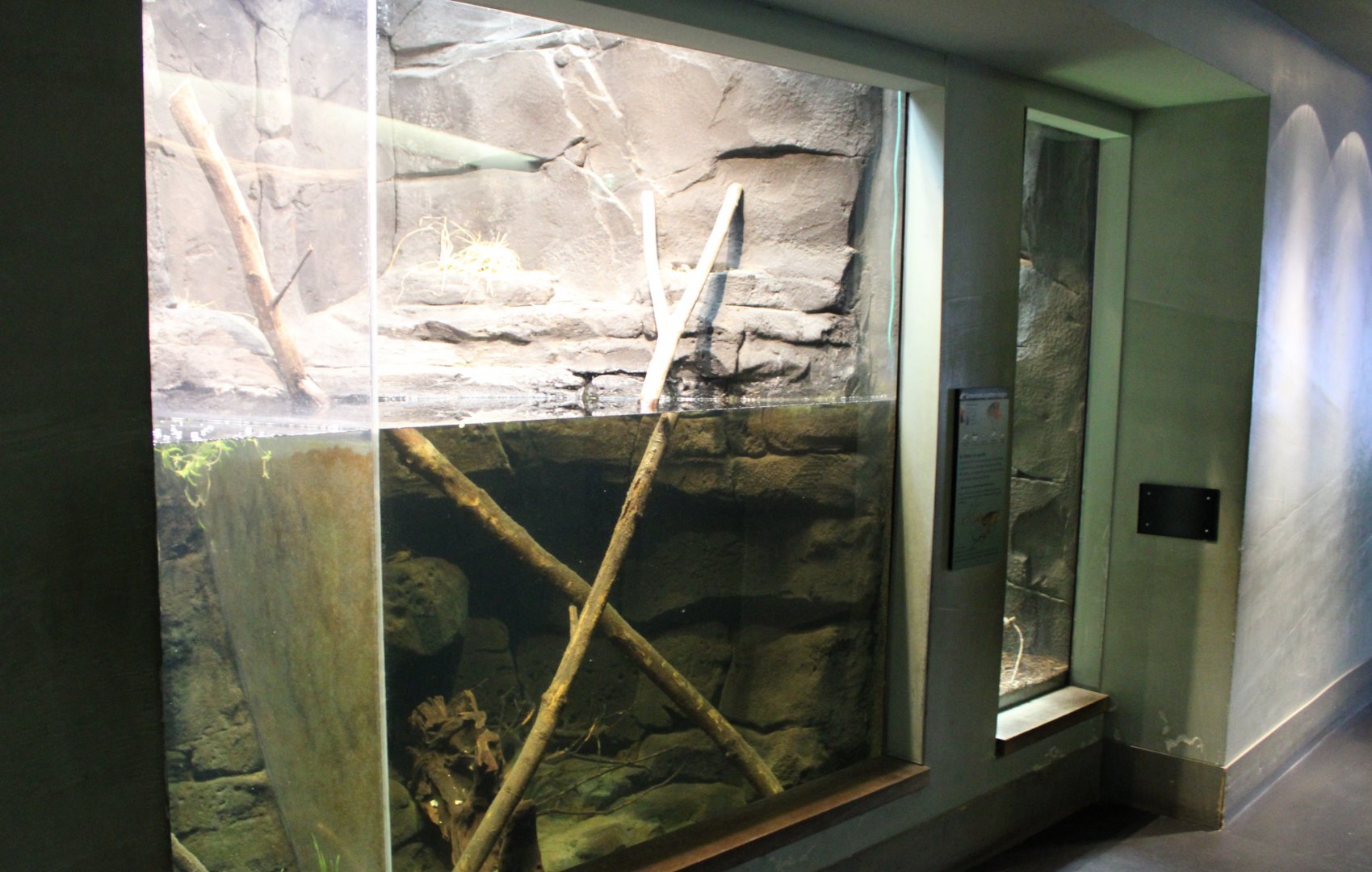 Freshwater crayfish enclosure