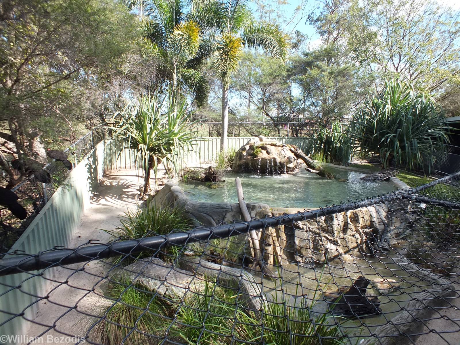 Freshwater Crocodile and Mary River Turtle Enclosure