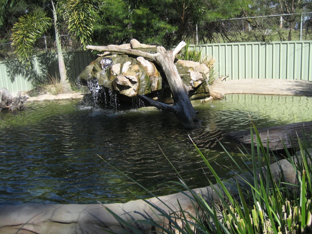 Freshwater Crocodile enclosure