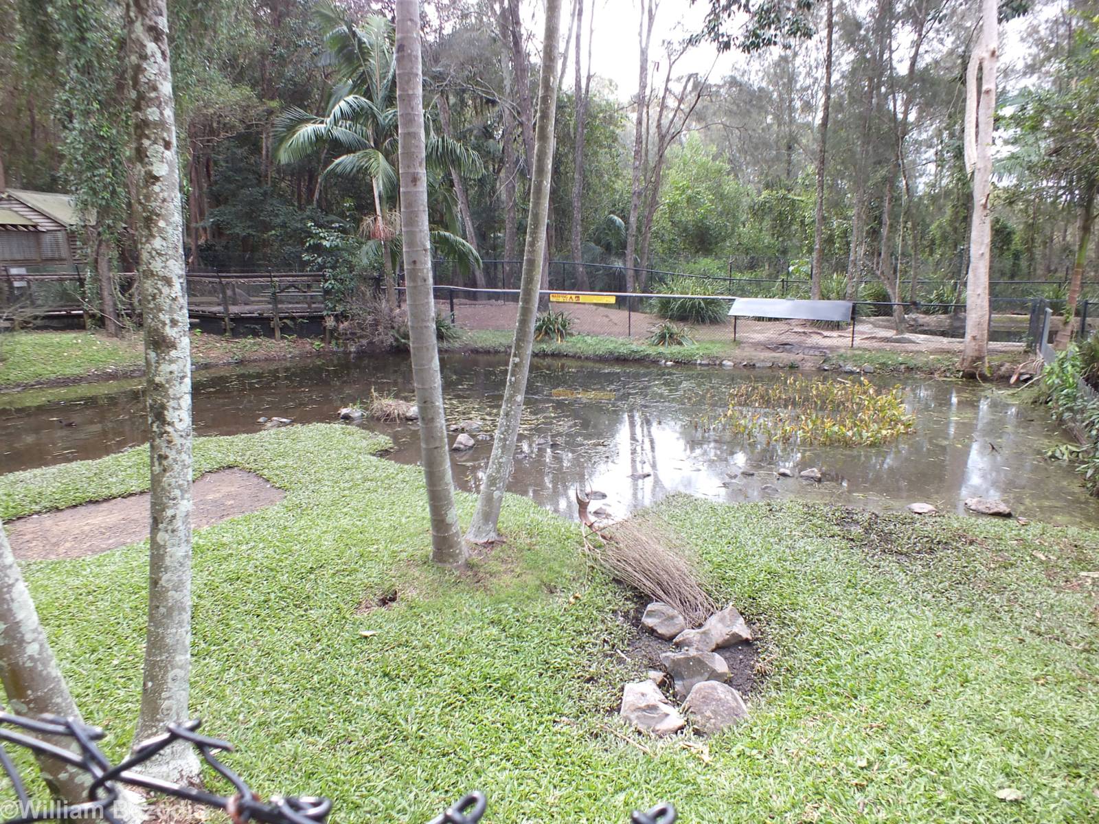 Freshwater Crocodile Enclosure