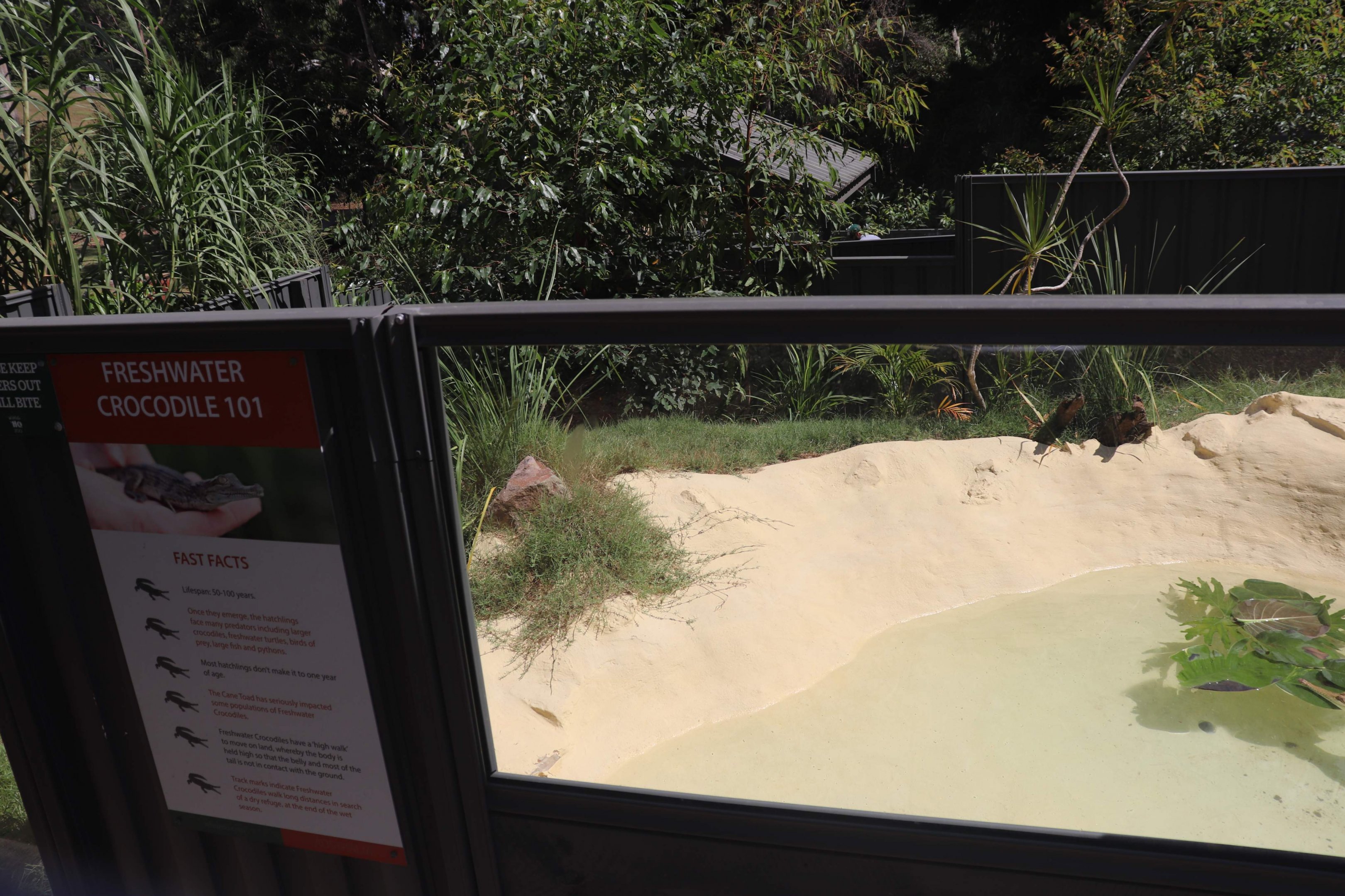 Freshwater Crocodile Enclosure