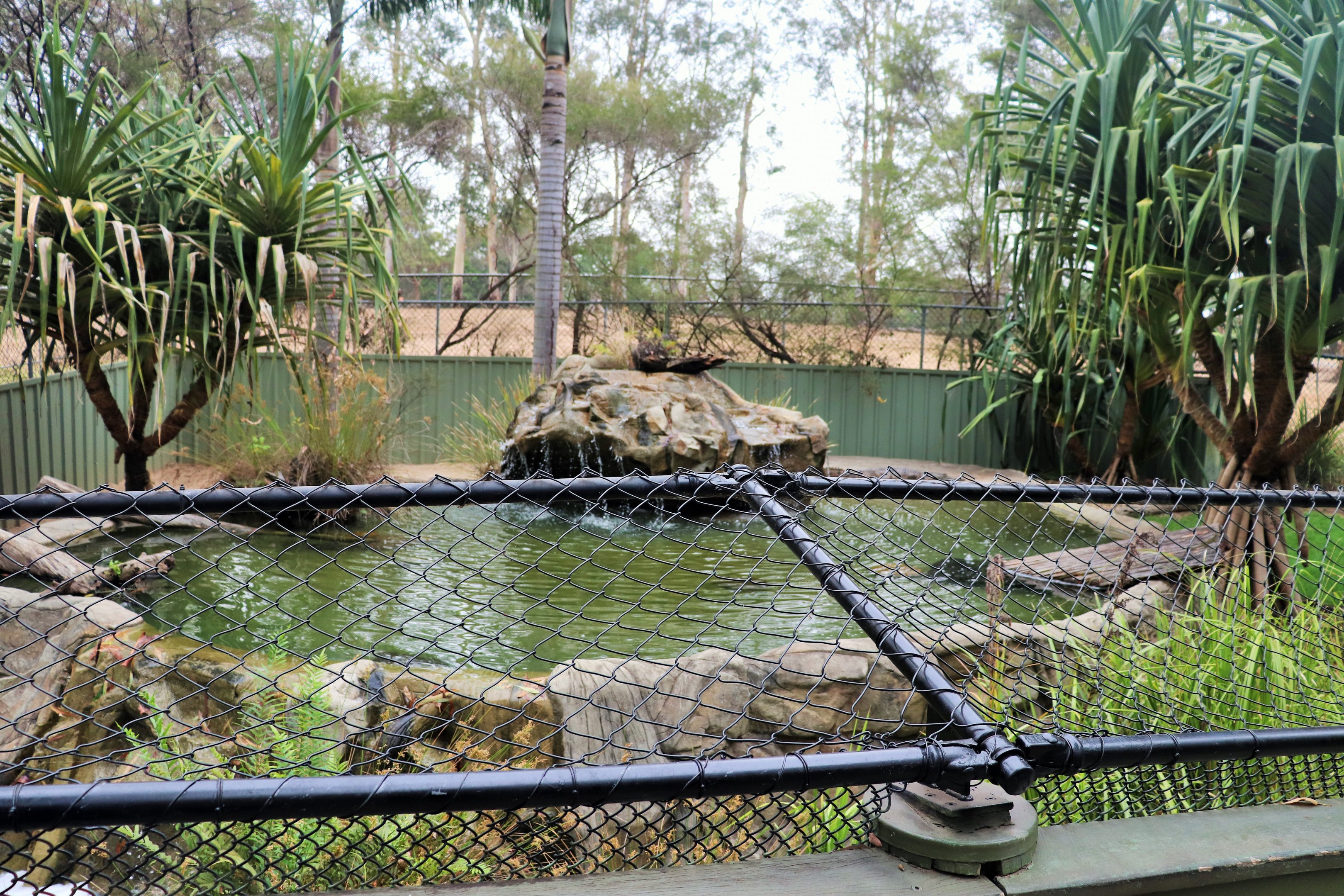 Freshwater Crocodile Enclosure