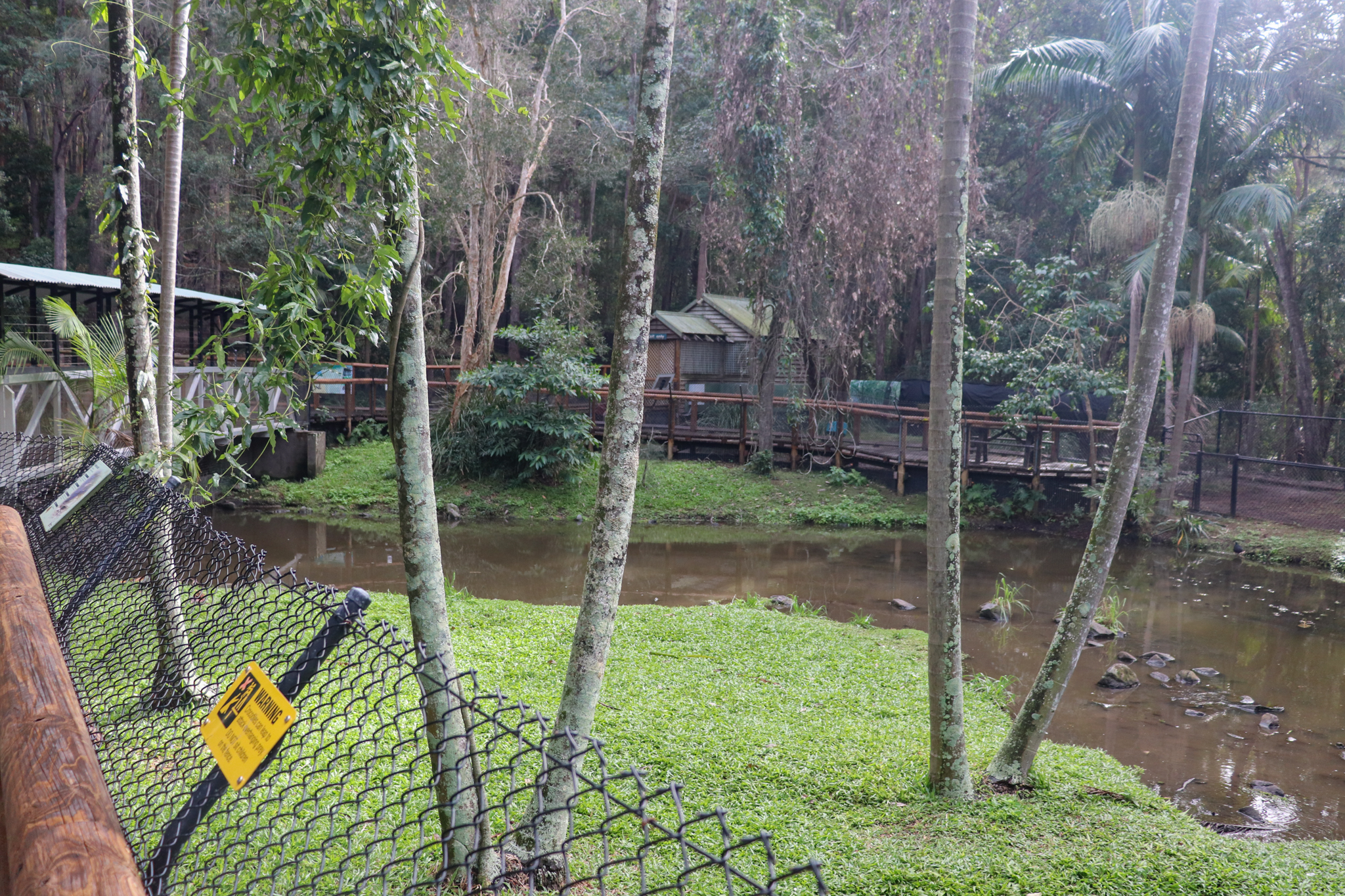 Freshwater Crocodile Enclosure