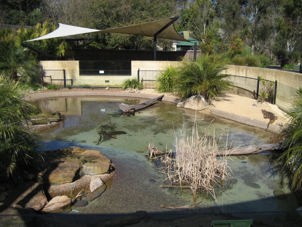 Freshwater Crocodile enclosure