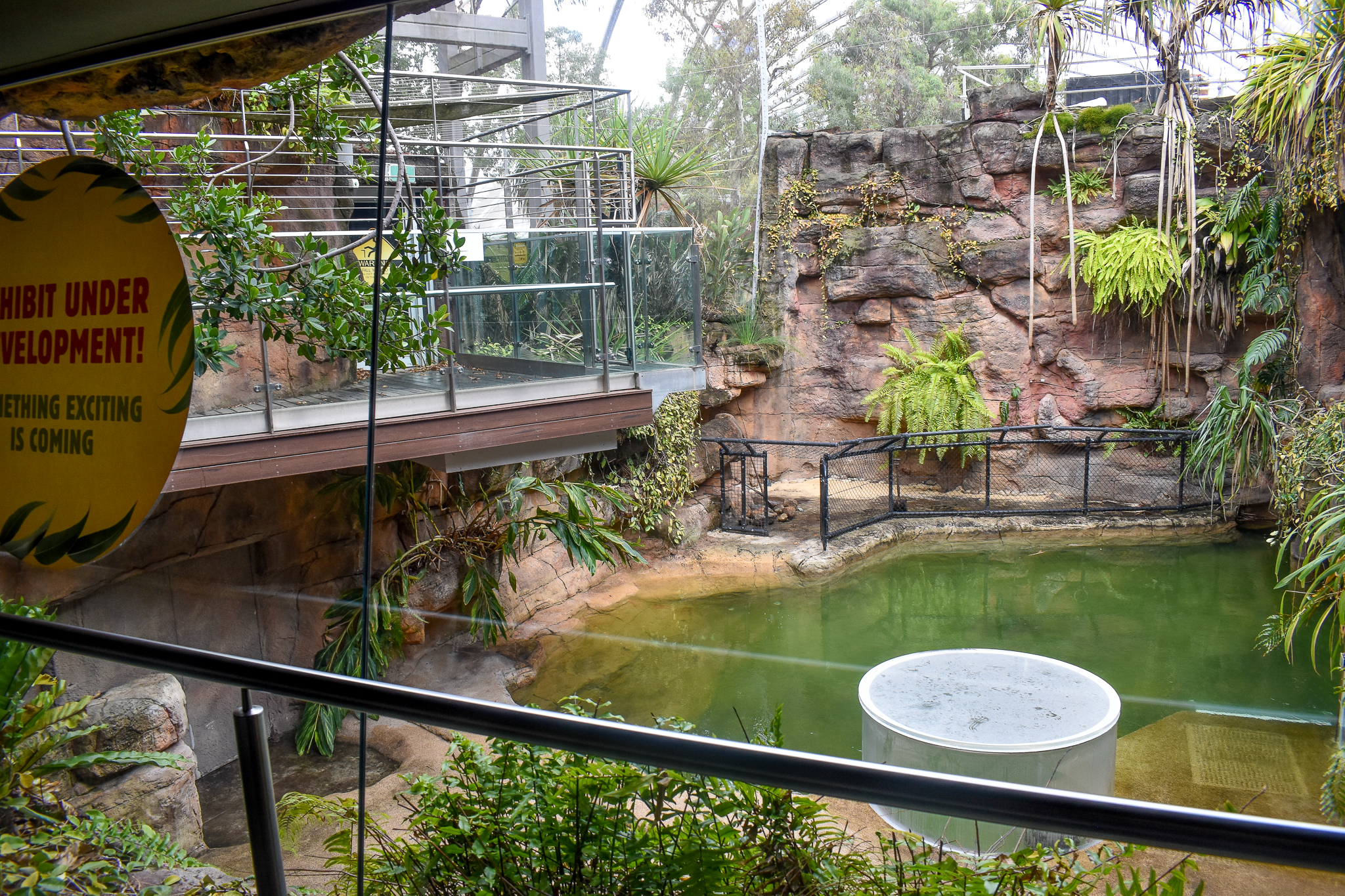 Freshwater Crocodile Enclosure