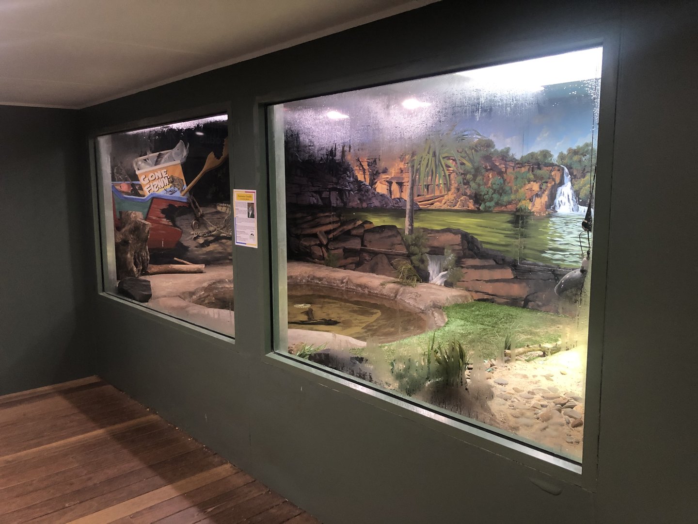 Freshwater Crocodile Enclosure