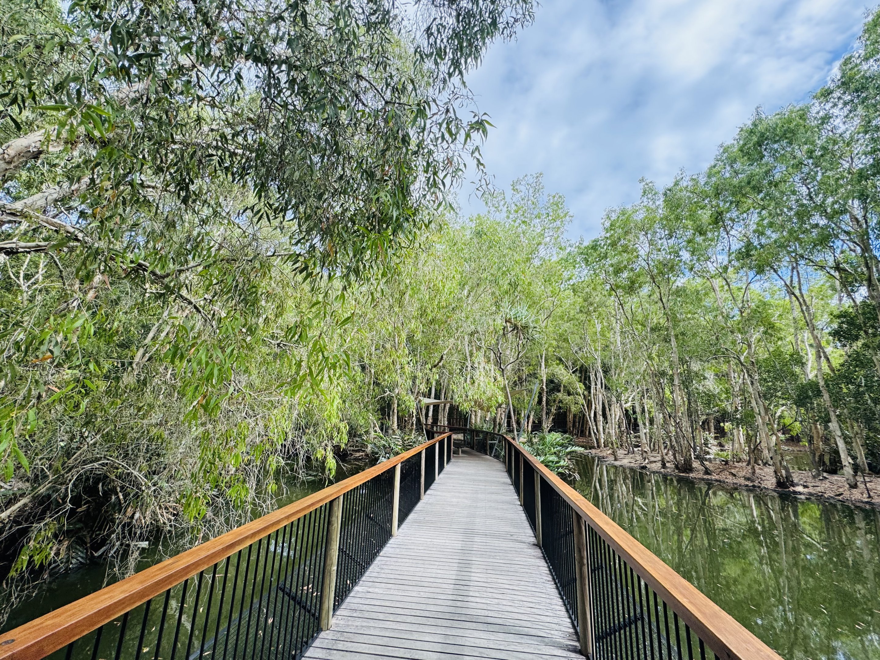 Freshwater crocodile enclosure